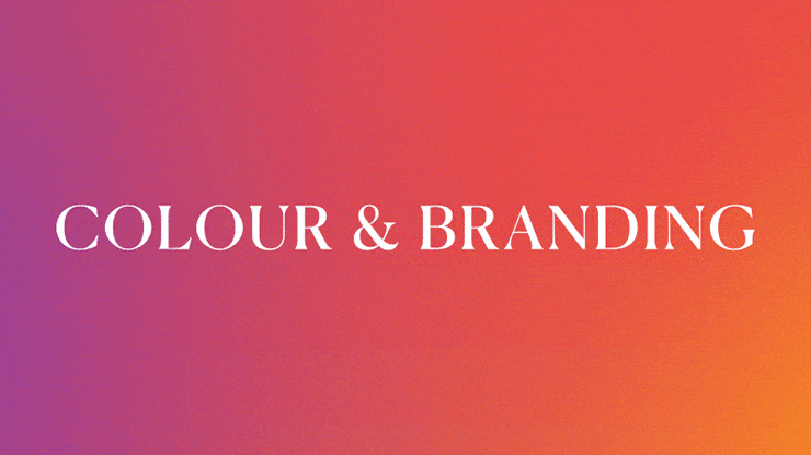Exploring the Depths of Colour | Journal | Steve Edge Design