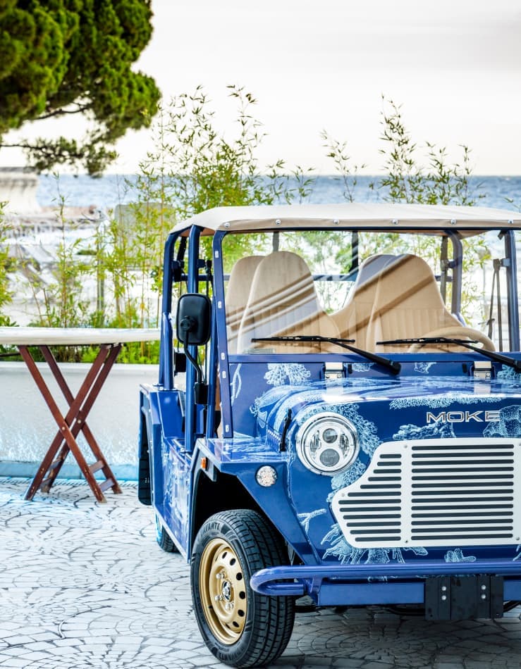 Blue Marine | Steve Edge Design Charity