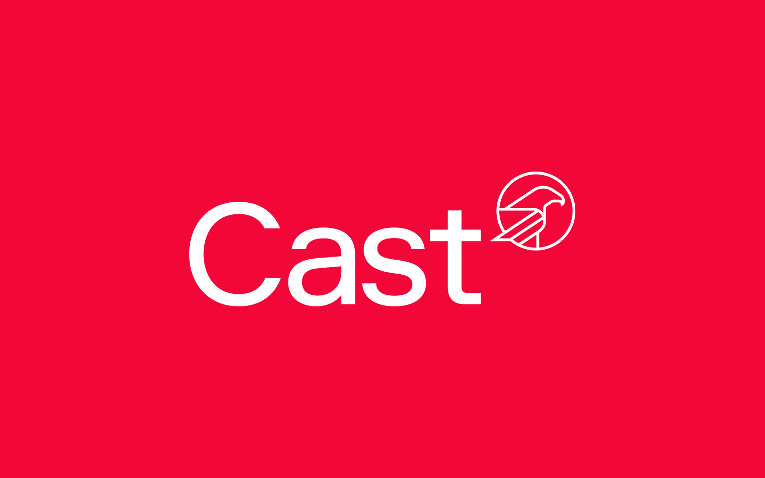 Cast | Consultancy Branding | Steve Edge Design