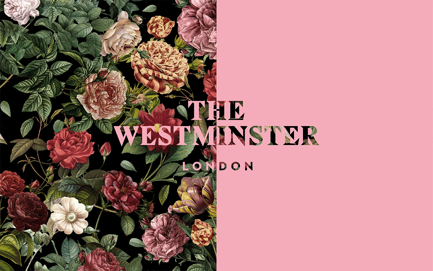 Westminster | Creative Hospitality & Hotel Branding | Steve Edge Design