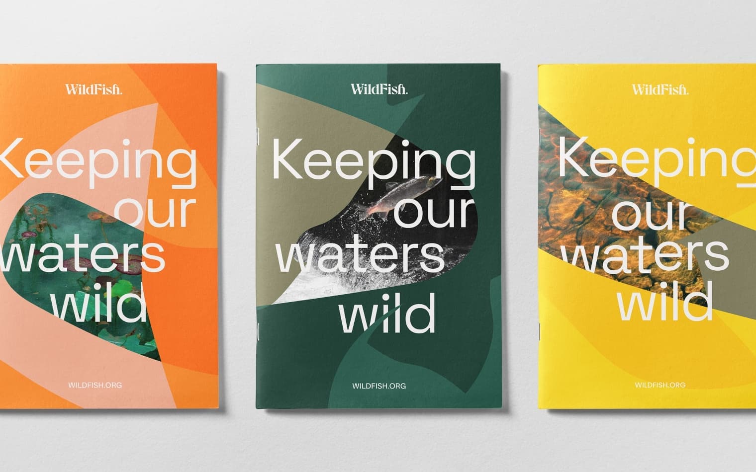 WildFish | Branding & Website Design | Steve Edge Design