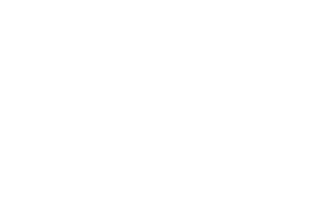 Logo Design | Branding | Steve Edge Design