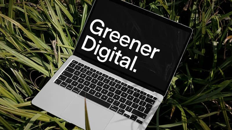 Greener Digital | Journal | Steve Edge Design