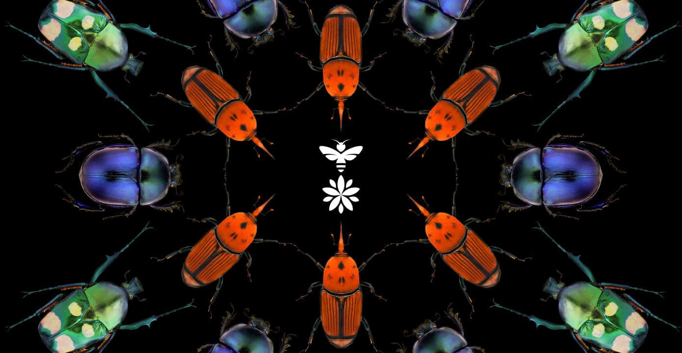 Reflecting nature back into business | Journal | Steve Edge Design Reflecting nature back into business | Journal | Steve Edge Design