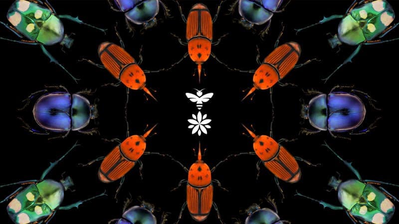 Reflecting nature back into business | Journal | Steve Edge Design