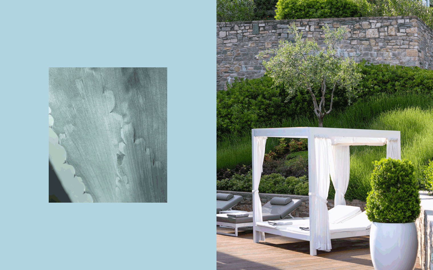 Eden Reserve | Hospitality Branding & Web Design | Steve Edge Design