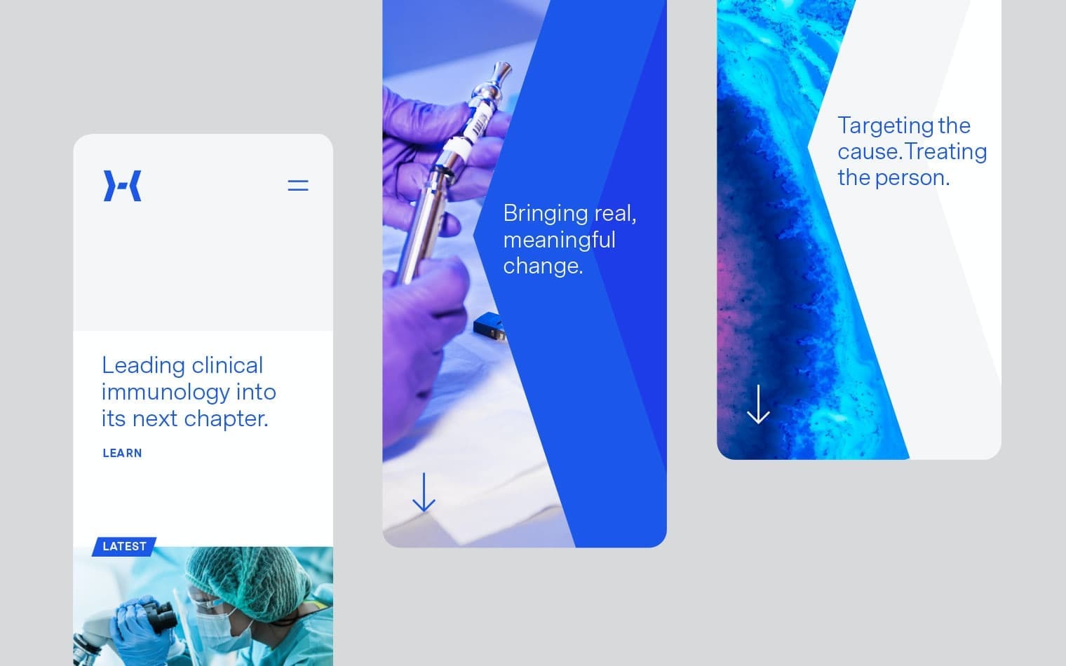 HIBio | Website Design | Steve Edge Design