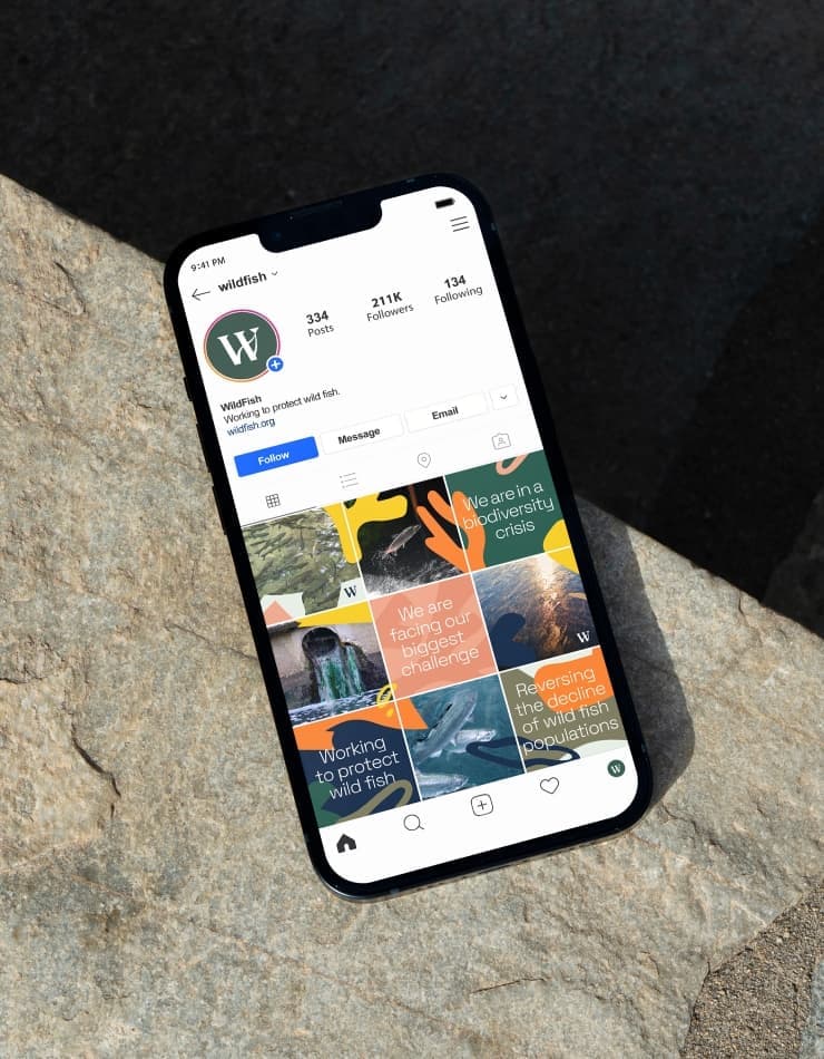 WildFish | Branding & Website Design | Steve Edge Design