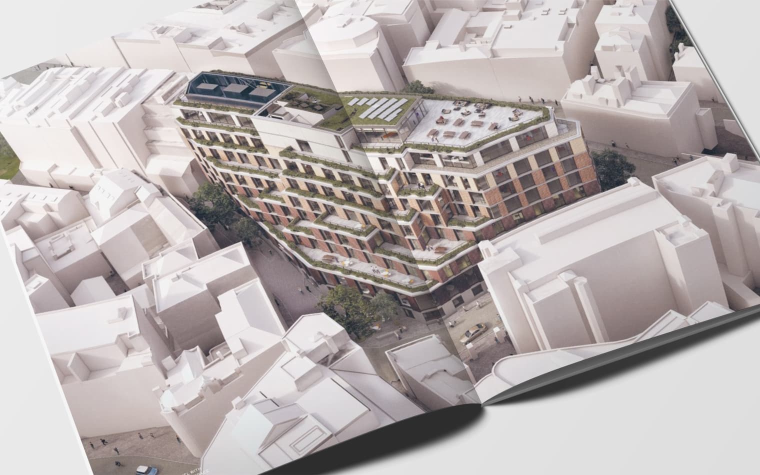 The Ray | Real Estate & Office Branding | Steve Edge Design