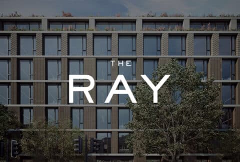The Ray | Digital Agency | Real Estate Branding | Work | Steve Edge Design
