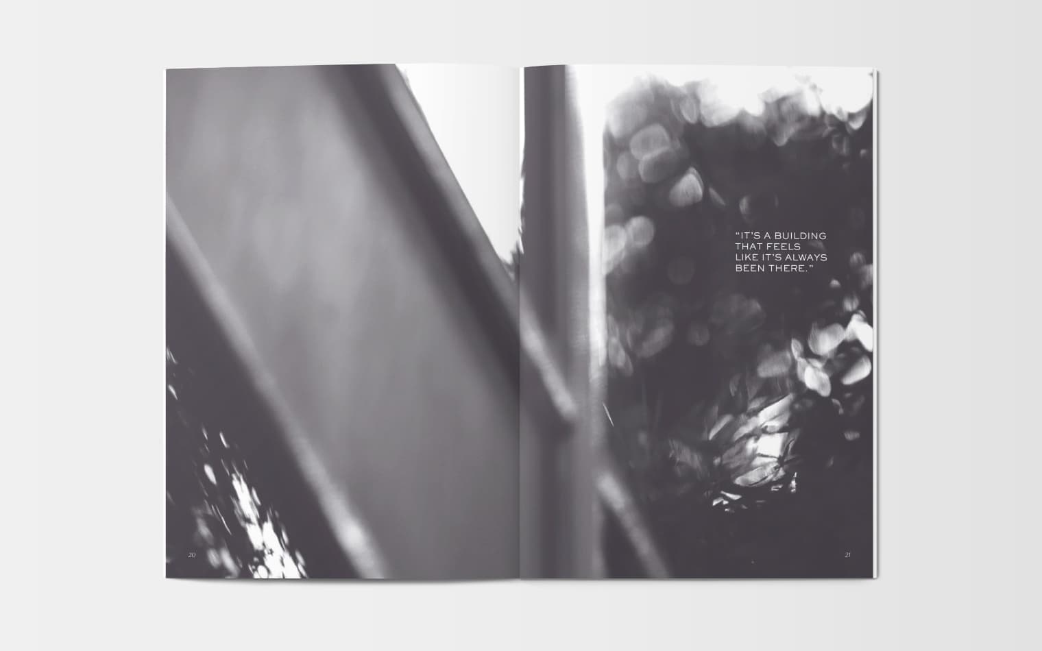 The Ray | Real Estate & Office Branding | Steve Edge Design