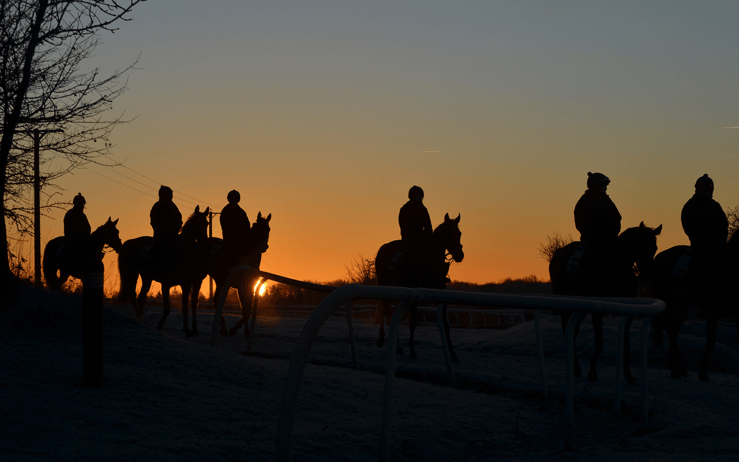 O'Neill Racing | Racehorse Trainer Branding & Web Design | Steve Edge Design