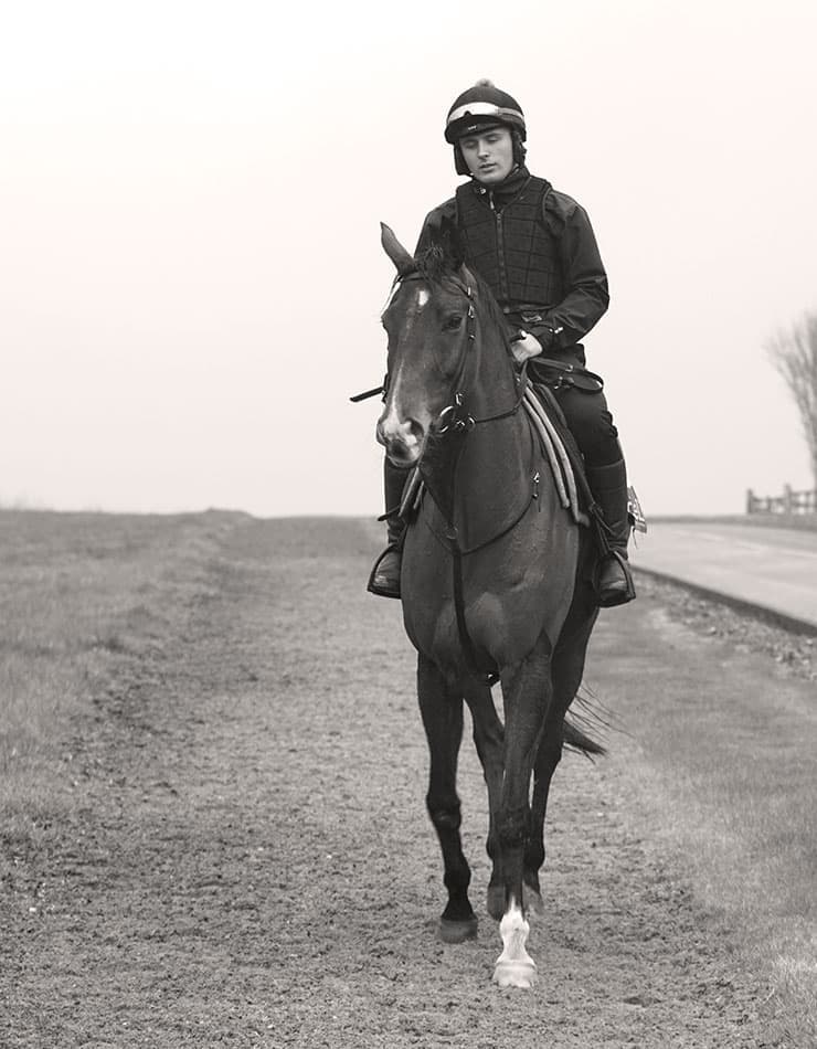 O'Neill Racing | Racehorse Trainer Branding & Web Design | Steve Edge Design