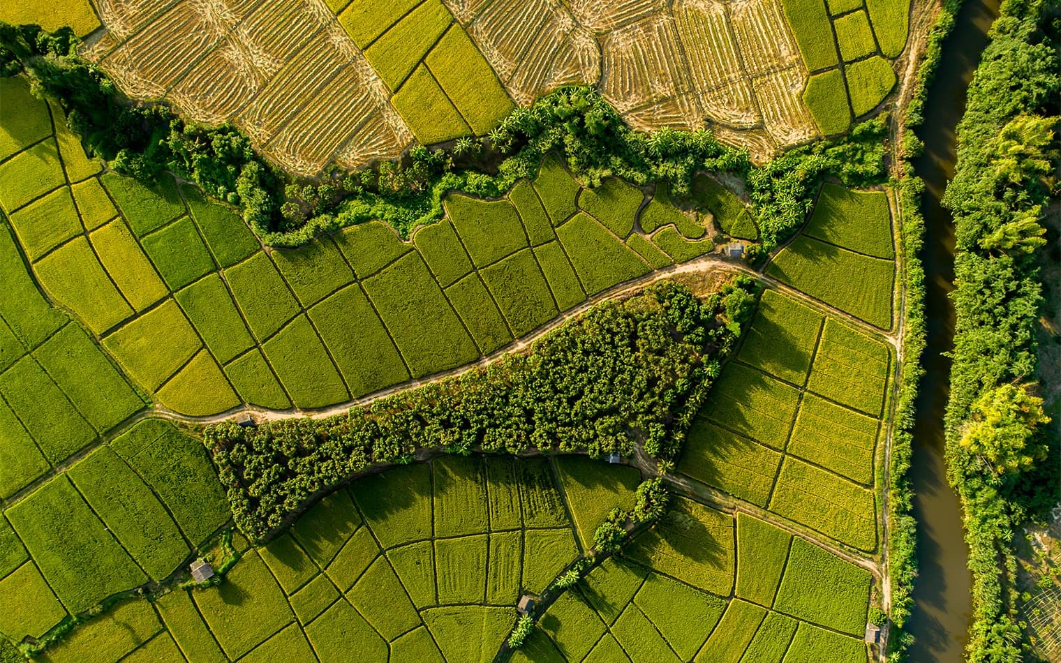 Enray | Renewable Energy Brand Design | Work | Steve Edge Design