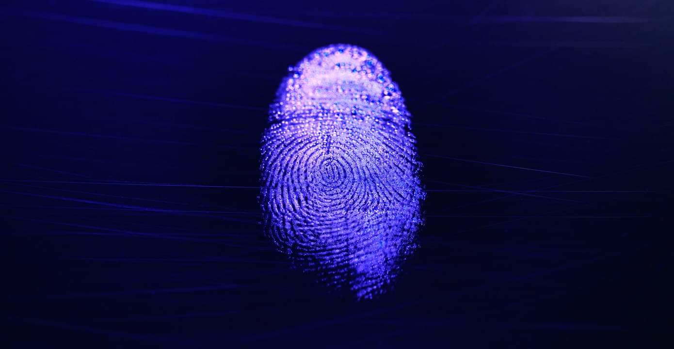 Intelligent Website Personalisation, Make your website work harder Intelligent Website Personalisation, Make your website work harder