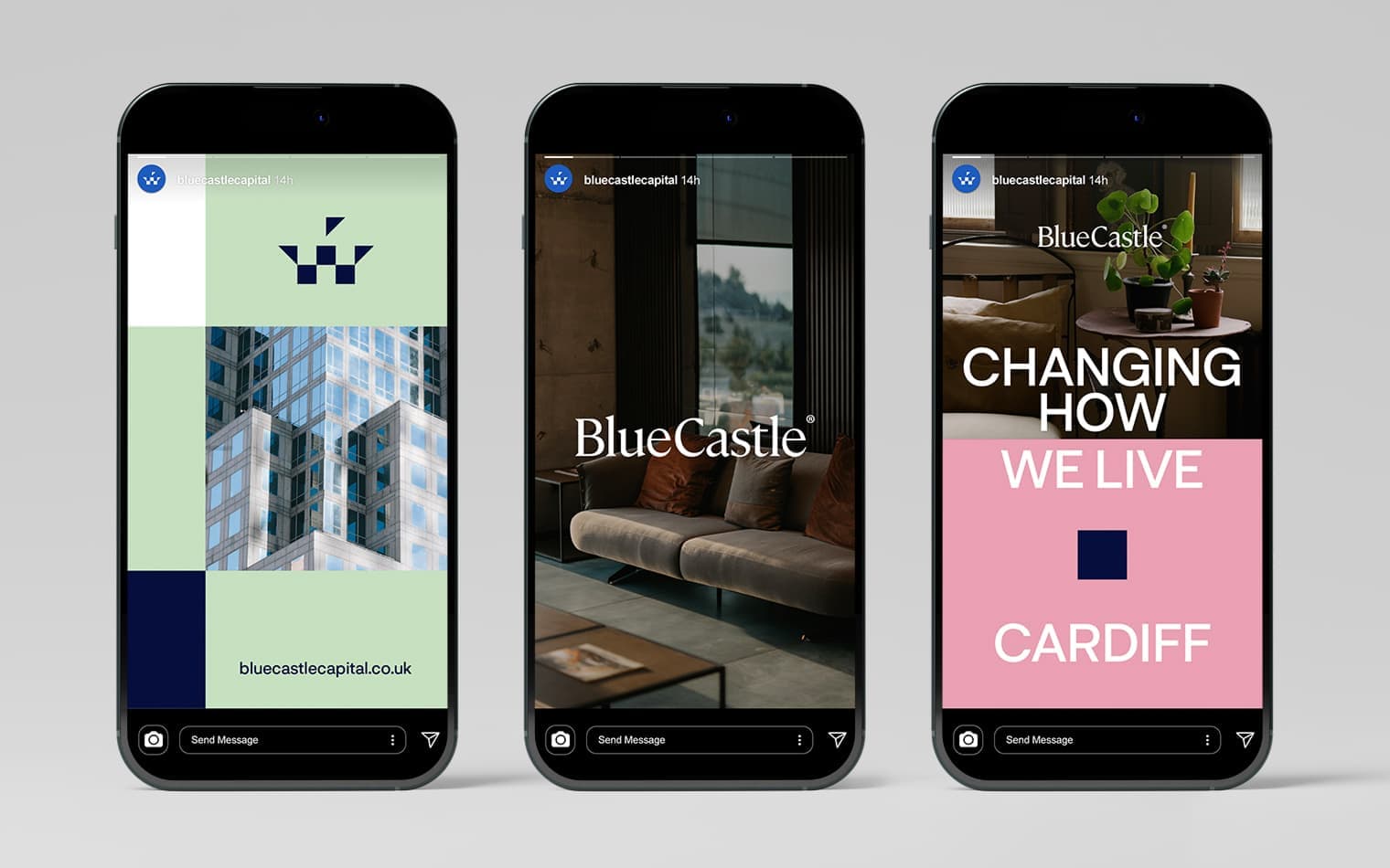 BlueCastle Capital | Mobile Website Build | Website Build | Branding Agency | Financial Sector Branding | Work | Steve Edge Design