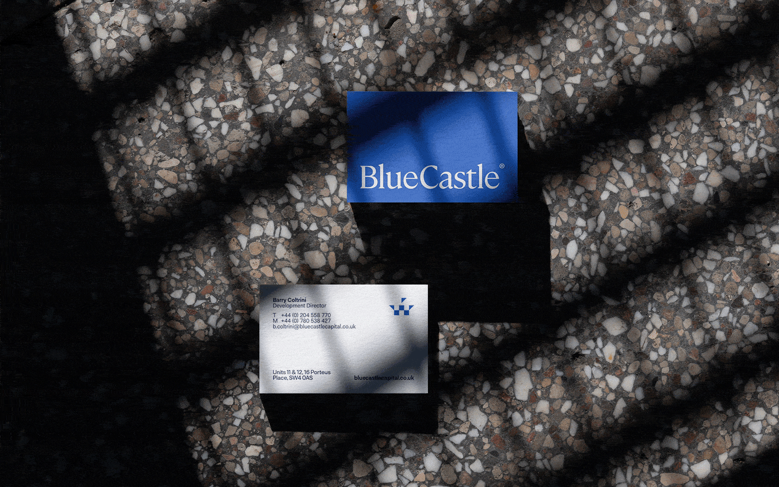 BlueCastle Capital | Business Card Design | Website Build | Branding Agency | Financial Sector Branding | Work | Steve Edge Design