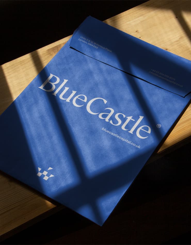 BlueCastle Capital | Website Build | Branding Agency | Financial Sector Branding | Work | Steve Edge Design