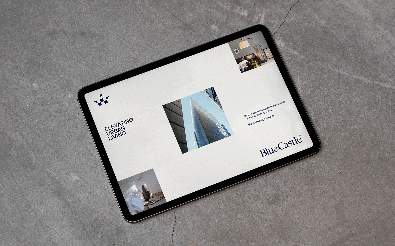 BlueCastle Capital | Website Build | Branding Agency | Financial Sector Branding | Work | Steve Edge Design
