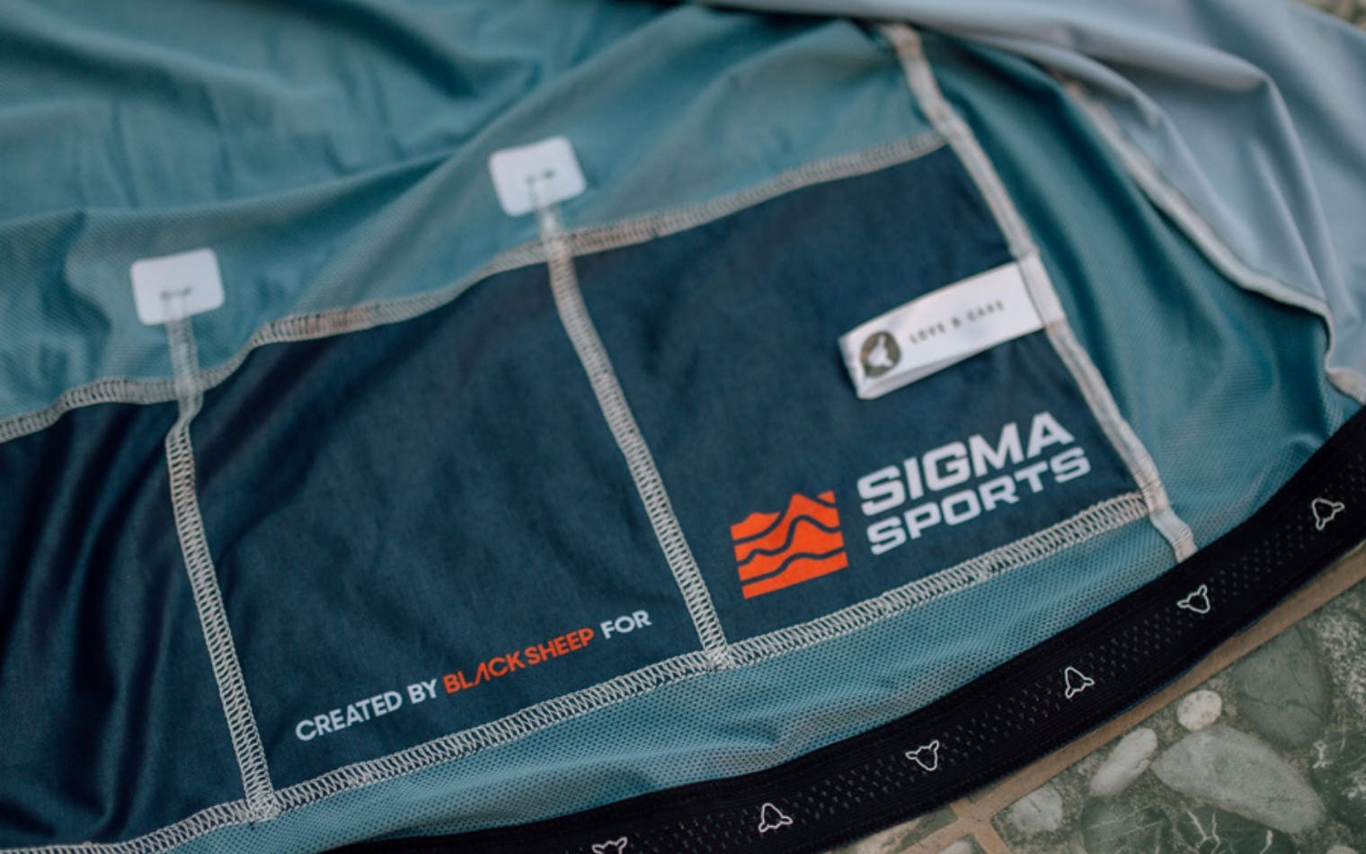Sigma | Steve Edge Design