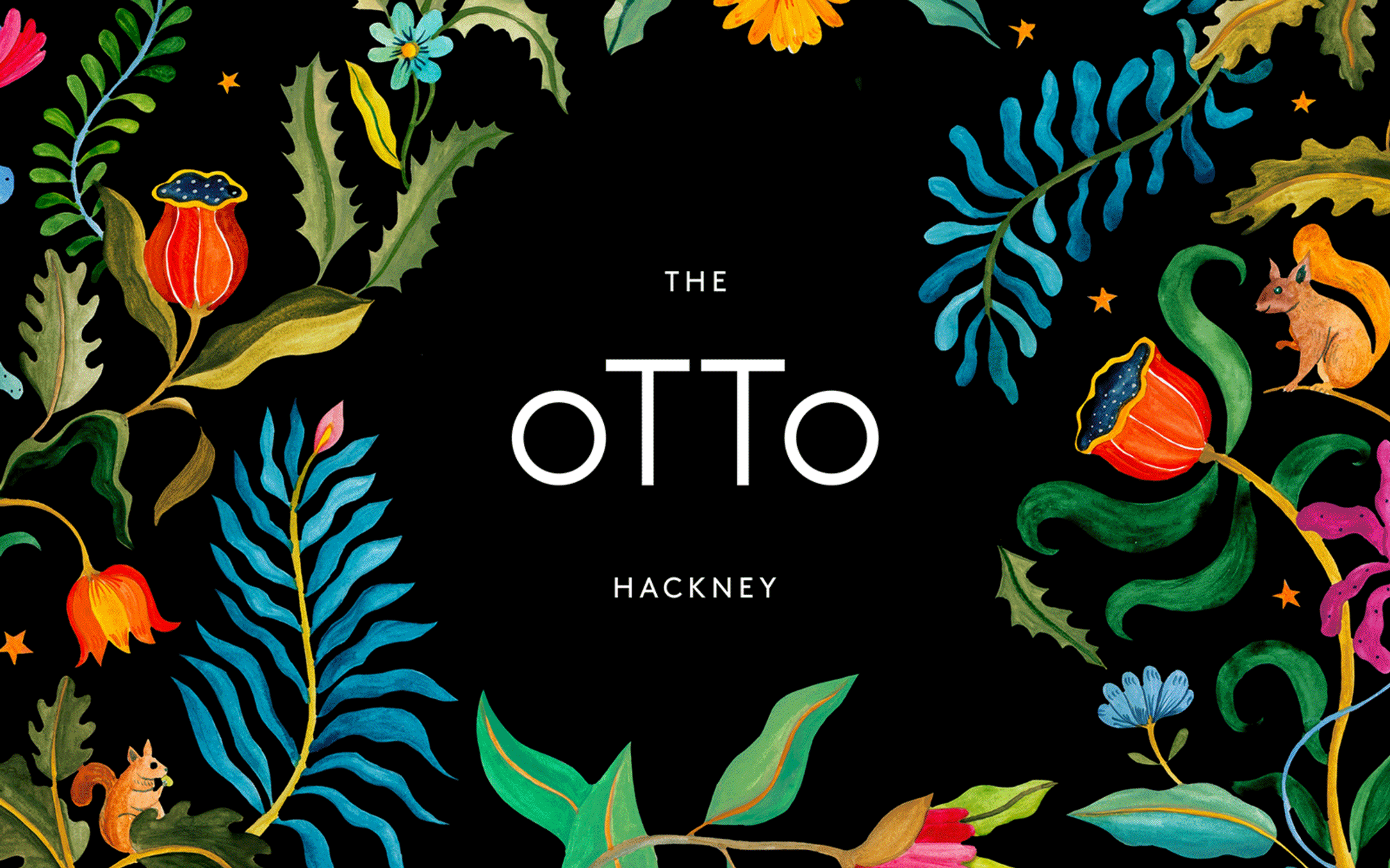The Otto | Steve Edge Design